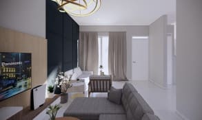 Minimalist Living Room
