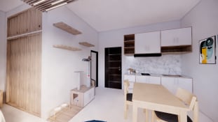 PET FRIENDLY STUDIO