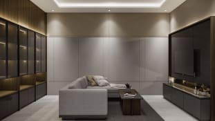 Contemporary Living Room