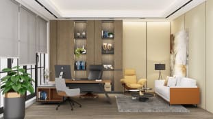 DIRECTOR ROOM IDEA - FORMAL HOME OFFICE